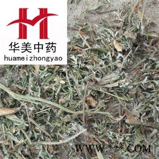 翻白草 统货 产地 山东省 华美中药 产地直销 重在品质图2