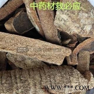 救必应 白兰香 九层皮 白银树皮 羊不吃 白木香 正品保证质量 安品堂图3