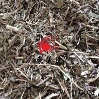 地锦草 统 产地 天津市图2