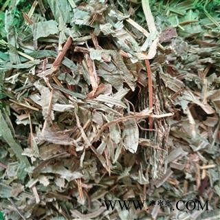 凤尾草 统货 产地 河北省图2