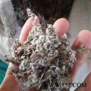 野生翻白草 豫统野生 产地 河南省平顶山市汝州市图2