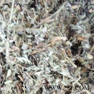 野生翻白草 豫统野生 产地 河南省平顶山市汝州市图4