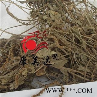 车前草 干度好无杂质 产地 江西省图2