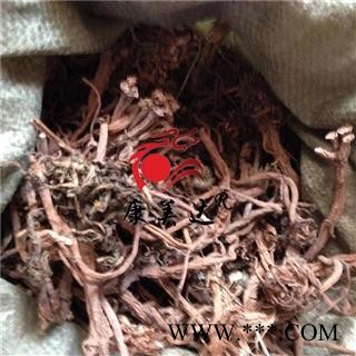 蒲公英 根片 产地 安徽省图2