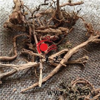 蒲公英 根片 产地 安徽省图3