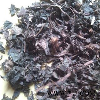 九头狮子草 统货 产地 浙江省 凯捷中药图3