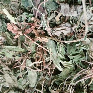 瓜子金 瓜子金统货 产地 广西壮族自治区图2