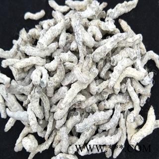 白僵蚕 秦岭优质僵蚕 扁僵蚕 山民自养500g另有炒僵蚕图4