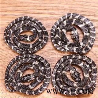 小白花蛇 统 产地 江西省图4