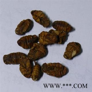 蚕蛹 蚕茧 蚕蜕 晚蚕砂 药用 统 产地 江苏省南通市市辖区图3