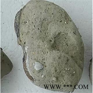 石蟹 统 产地 广东省茂名市市辖区图3