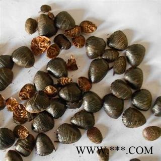 土元 统 产地 河北省保定市 库存 500公斤可售图3