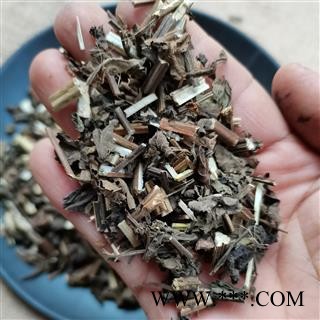 香茶菜 实图拍照 今年新货 正品保证质量7天无理由退货退款 中药材批发 丽丽药业图2