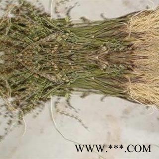 半枝莲 挖耳草，通经草，紫连草，小韩信草，小韩信 统货 产地 安徽省 凯捷中药图3