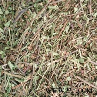 半枝莲 挖耳草，通经草，紫连草，小韩信草，小韩信 统货 产地 安徽省 凯捷中药图2