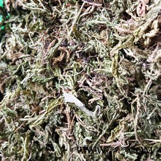 石上柏 统货 产地 四川省图3