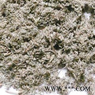 茵陈 绵茵陈灰白色统段 产地 河南省 产地直销 重在质量图2