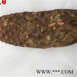 肉苁蓉 硬大芸 好统货 纯干货产地 新疆维吾尔自治区图2