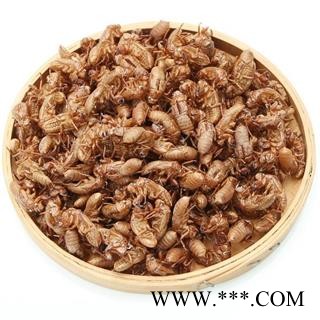 蝉蜕 蝉蜕净货 保证无土无渣 不掺假 产地 山东省图3