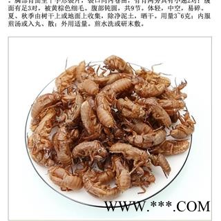 蝉蜕 蝉蜕净货 保证无土无渣 不掺假 产地 山东省图4