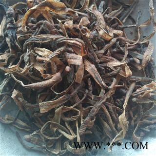 小地龙 统 产地 鄄城县舜王城药市图2