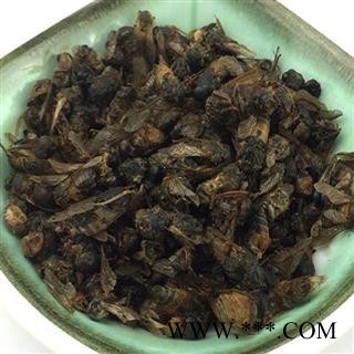 煜庭药业 牛虻虫 蜚虻 牛蚊子 牛苍蝇 瞎虻虫图4