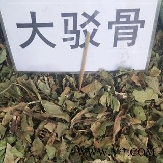 大驳骨 正品保证质量7天无理由退货退款 中药材批发 丽丽药业图4