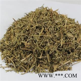 珍珠透骨草 珍珠透骨草 产地 河北省 凯捷中药图2