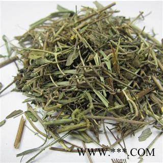珍珠透骨草 珍珠透骨草 产地 河北省 凯捷中药图3