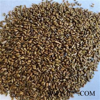 石决明 国产决明子统货 产地 山东省 道地药材 发货快 支持小包装拿样 7天无理由退货图4