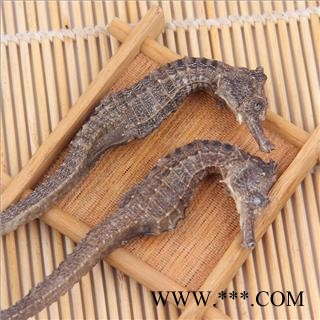 海马 大号6克左右 产地 广东省 双鹏药材行 可代加工中药材粗细粉图2