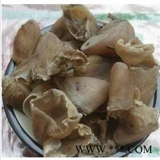 猪蹄甲 选 优 产地 安徽省亳州市谯城区图3