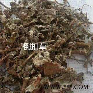 倒扣草 土牛膝全草  统货 产地 河北省 凯捷中药图2