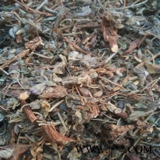 地丁 苦地丁统段    地丁 产地 山东省图2