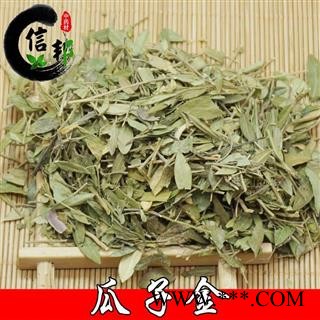 瓜子金无硫砂草金锁匙瓜子草挂米草高脚瓜子草产后草专注品质，诚信信邦！图3