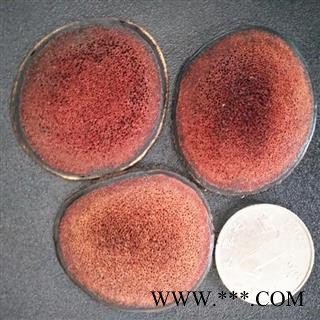 人工驯养鹿茸 鹿茸【特级红色粉片】纯干，无流 产地 吉林省白山市图3