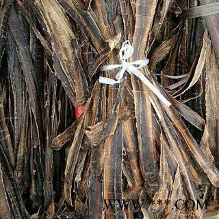 地龙 统 产地 广西壮族自治区图2