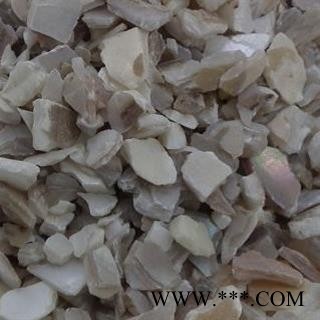 珍珠母 统 产地 山东省图2