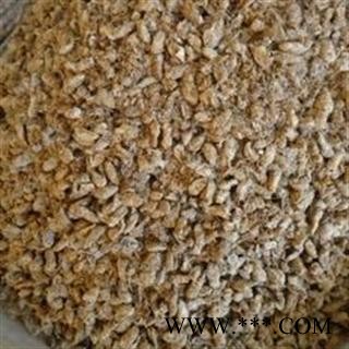 原蚕蛾 统 产地 湖北省十堰市竹溪县（东图2