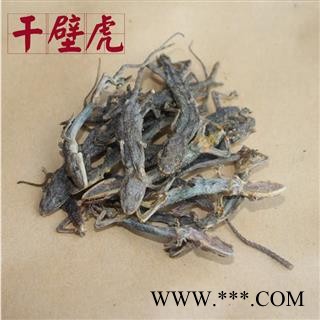 天龙  守宫 选 产地 河南省  国产正品天龙  原条图2