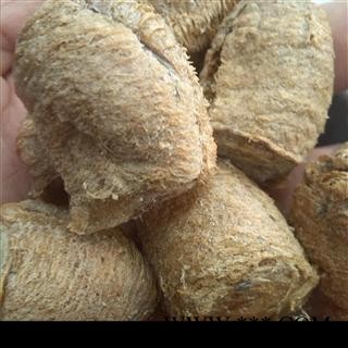 纯大棉桑螵蛸 选 产地 山东省烟台市芝罘图3