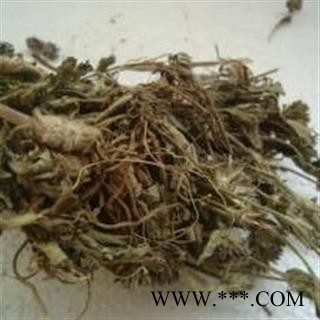 地胆草 丁茄夫 地苦胆 地胆头 苦地胆 中药材批发 丽丽药业图3