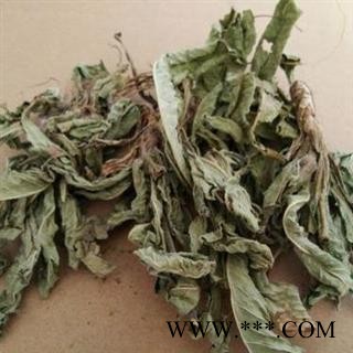 地胆草 丁茄夫 地苦胆 地胆头 苦地胆 中药材批发 丽丽药业图2