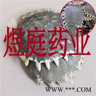 煜庭药业 鳖甲图3