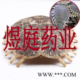 煜庭药业 鳖甲图2
