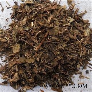 肿节风 统货 产地 湖北省 凯捷中药图3