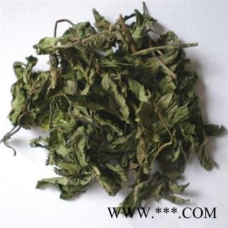 薄荷叶 薄荷干  产地 河南省 凯捷中药图2