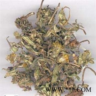 蒲公英 野生蒲公英灰绿色统货 产地 山西省 产地直销 重在质量图2