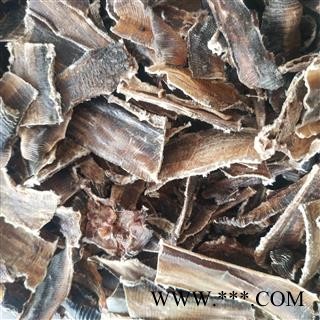 广地龙全开段【国舜堂】产地货源 规格齐全 量大从优 中药材批发供应【地龙】图4