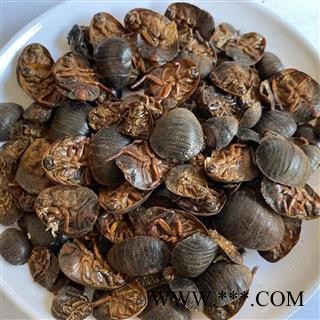 土鳖虫 土元土鳖虫水洗腹空大选货 产地 山东省 道地药材 发货快 支持小包装拿样 7天无理由退货图2